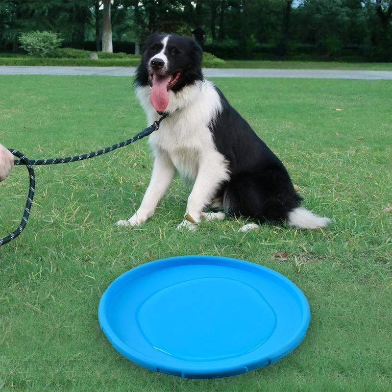 Frisbee Chien - FlyingDiscToys™ - Bleu - Univers Doggy