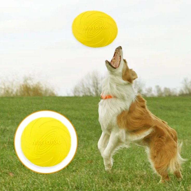 Frisbee Chien - FlyingDiscToys™ - Jaune - Univers Doggy