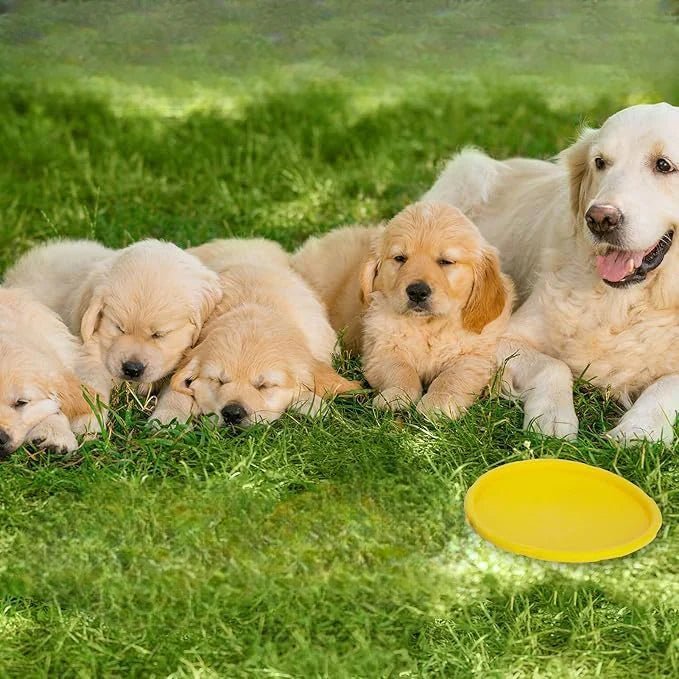 Frisbee Chien - FlyingDiscToys™ - Jaune - Univers Doggy