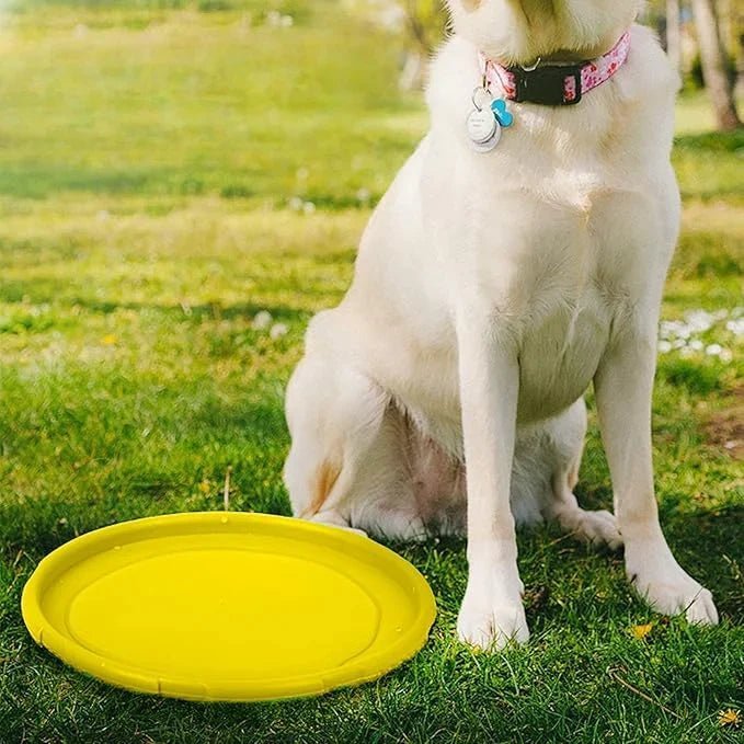 Frisbee Chien - FlyingDiscToys™ - Jaune - Univers Doggy