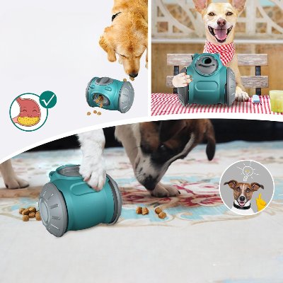 Distributeur de Croquettes pour Chien - BrainChase™ - Turquoise - Univers Doggy