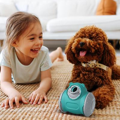 Distributeur de Croquettes pour Chien - BrainChase™ - Turquoise - Univers Doggy