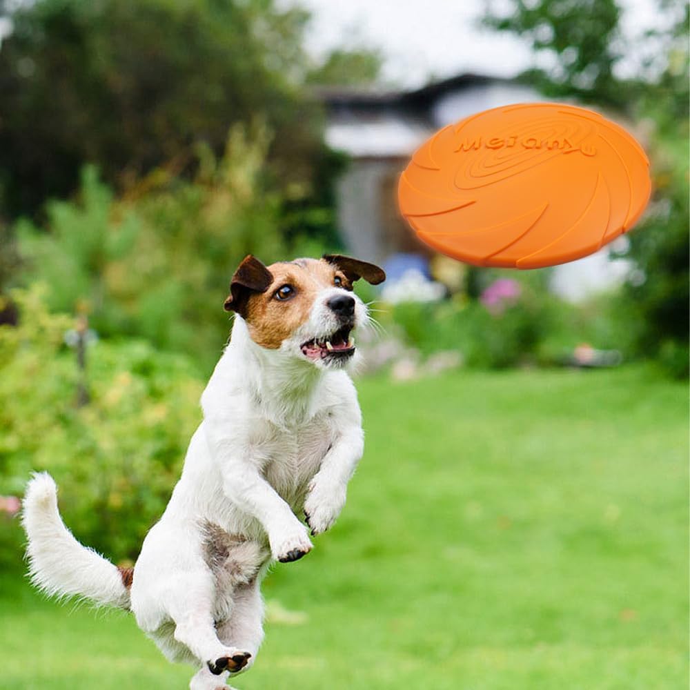 Frisbee Chien - FlyingDiscToys™ - Orange - Univers Doggy