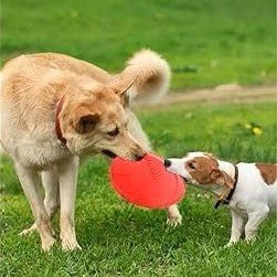 Frisbee Chien - FlyingDiscToys™ - Rouge - Univers Doggy